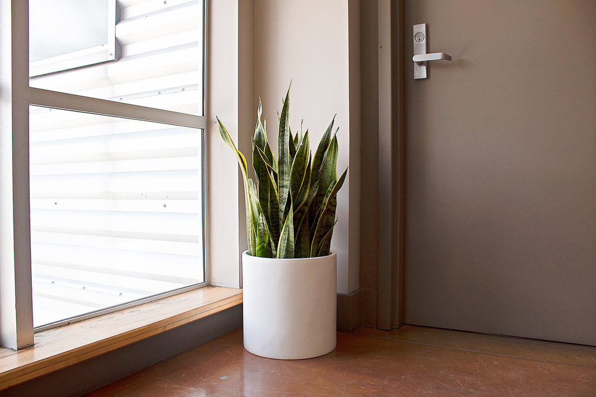 White Brea Round Cylinder Fiberglass Planter Corner by the door
