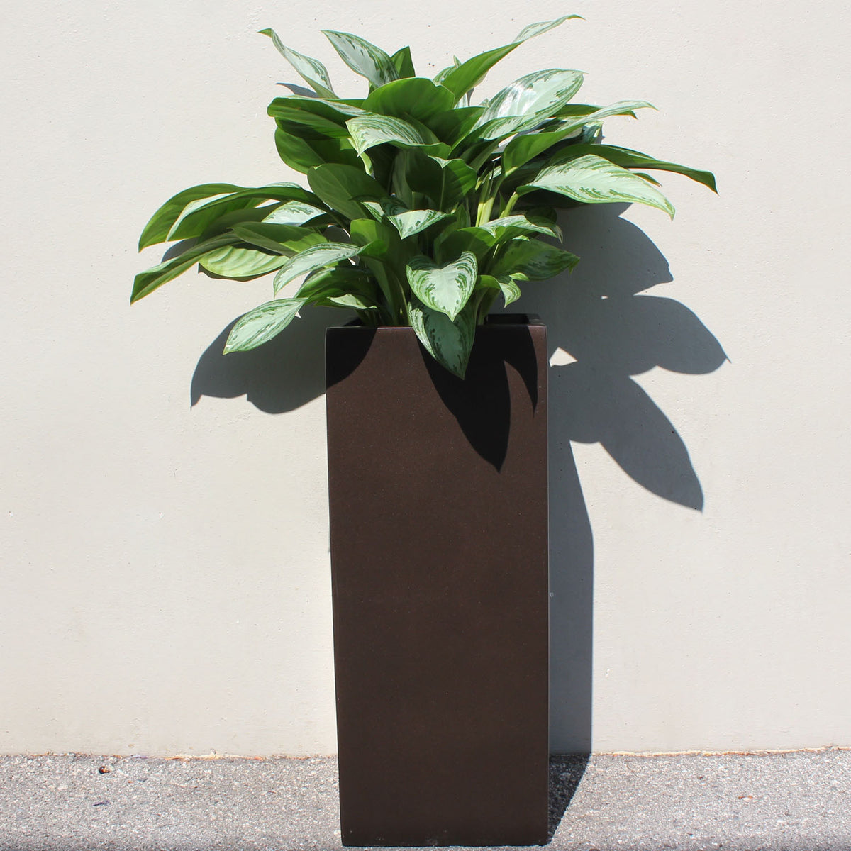 Belvedere Tall Square Cube Fiberglass Planter Box Outdoor