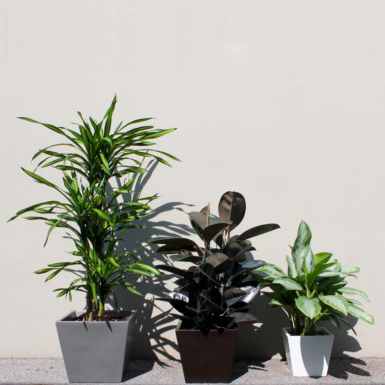 Saratoga Square Planter Box