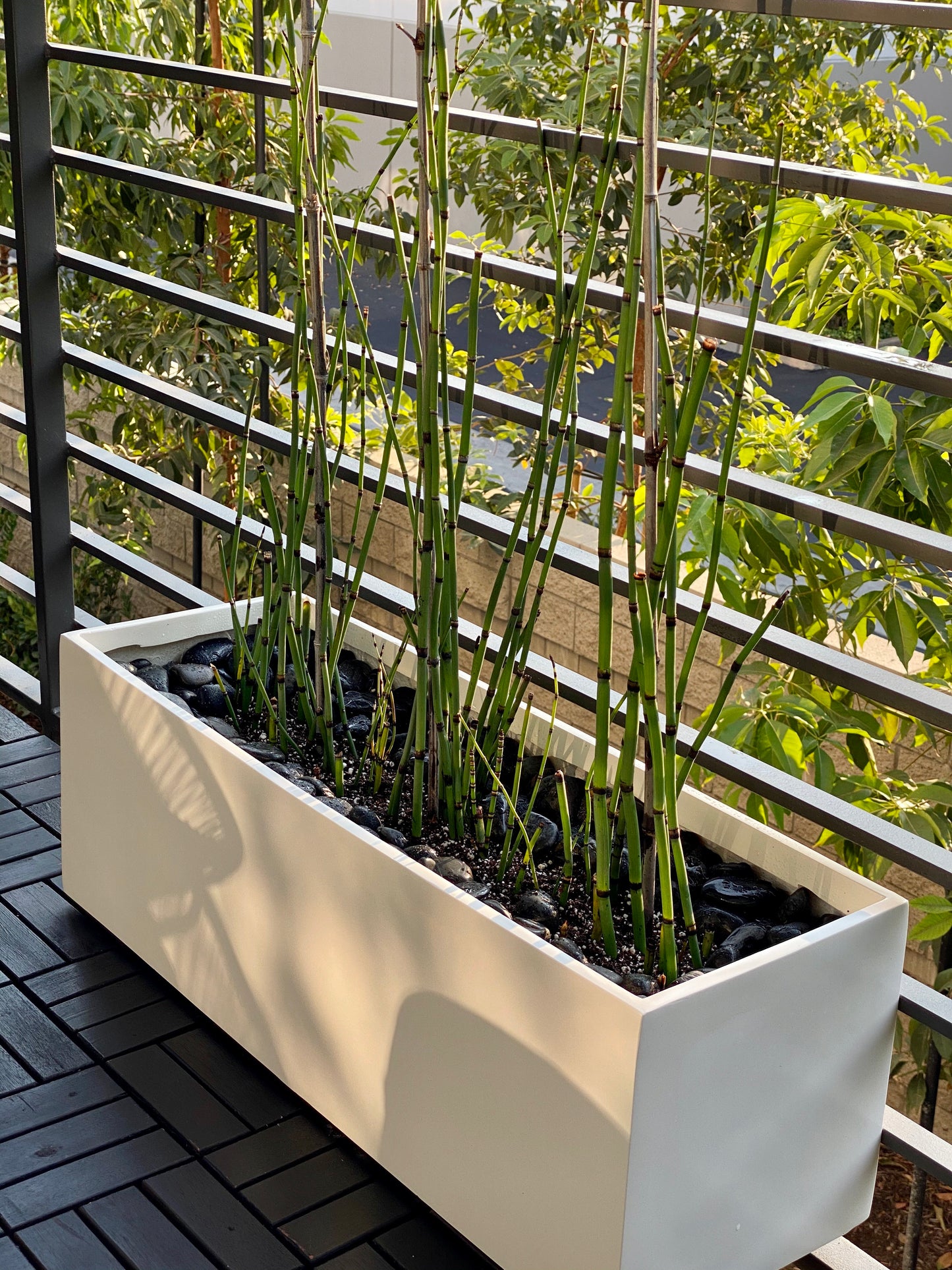 White Belmont Rectangle Fiberglass Planter Box by patio deck