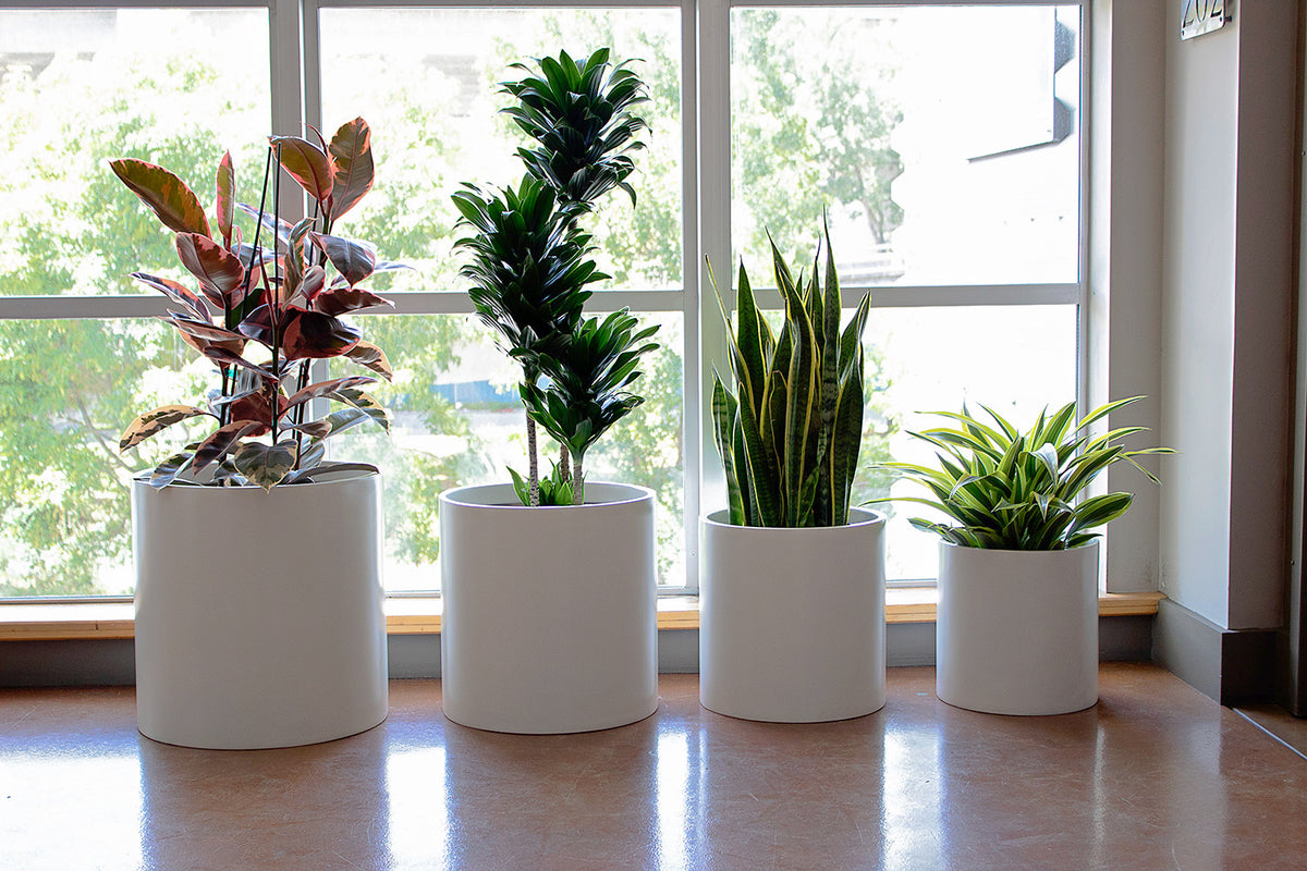 White Brea Round Cylinder Fiberglass Planter Set