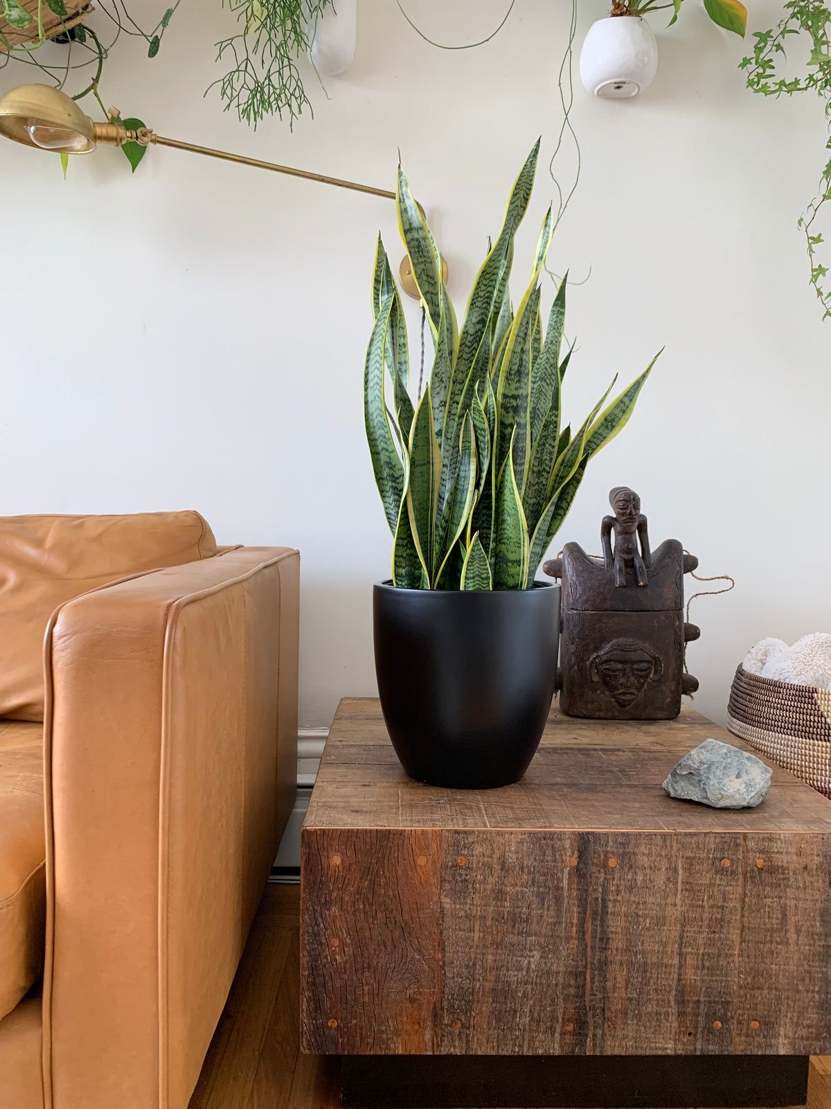 Black Napa Round Cylinder Fiberglass Planter indoor setting near couch