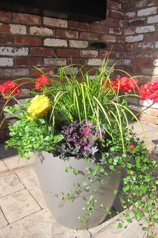 napa hanging bowl planter Root and Stock Napa Round Cylinder Planter