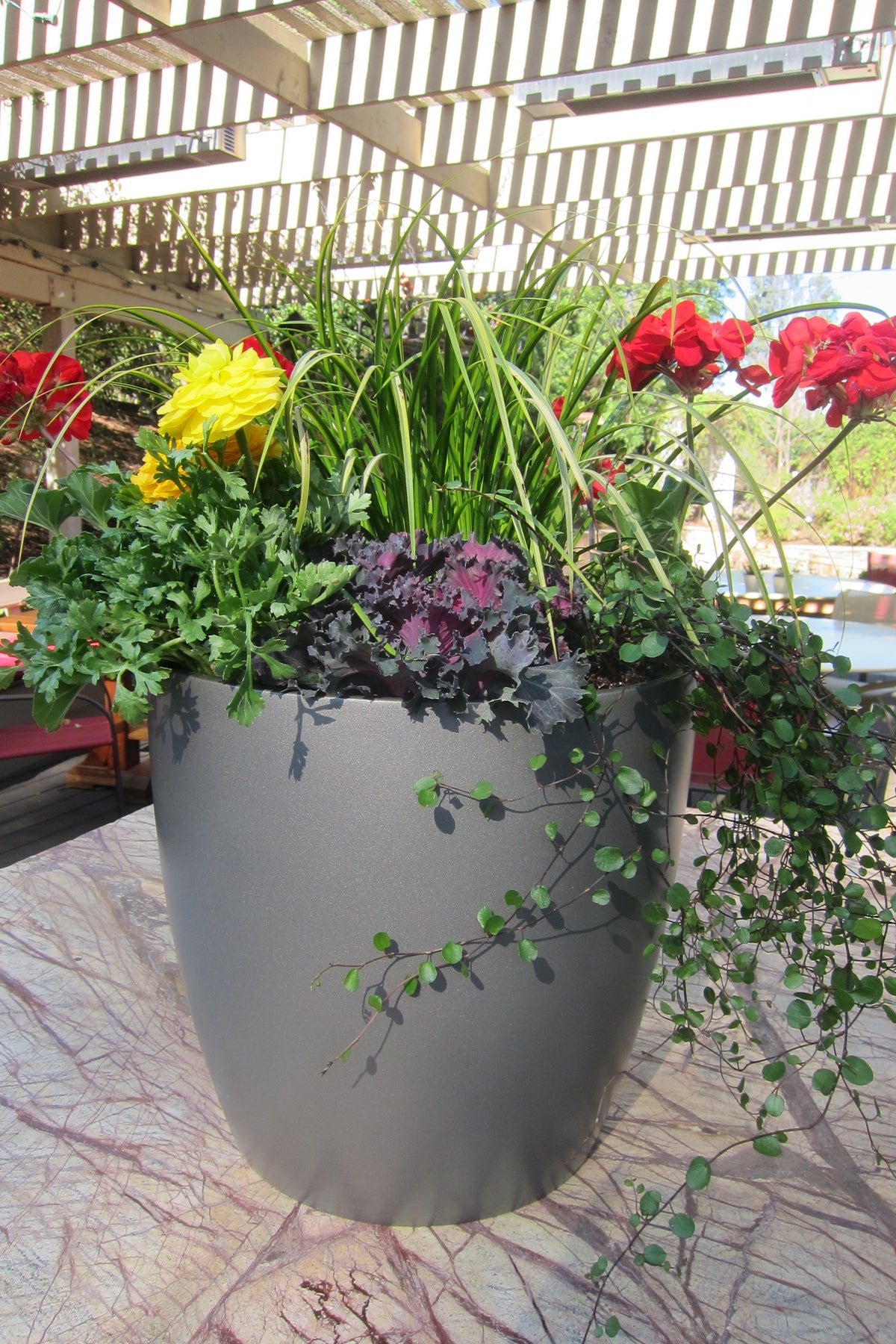 Grey Napa Round Cylinder Fiberglass Planter Outdoors