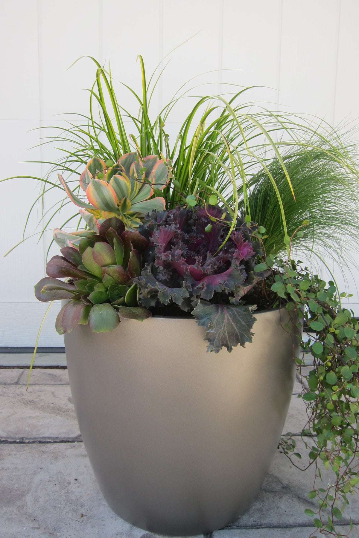 Grey Napa Round Cylinder Fiberglass Planter by White Wall
