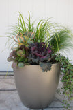 Root and Stock Napa Round Cylinder Planter - Grey
