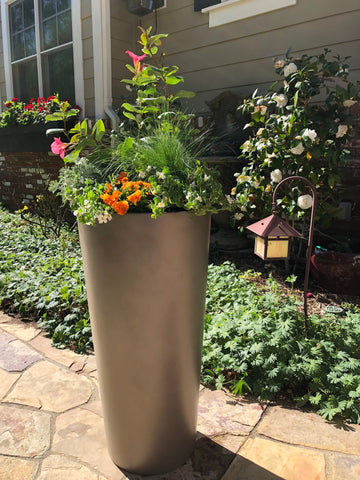 tall cylinder plant pot Root and Stock Sonoma Tall Cylinder Planter