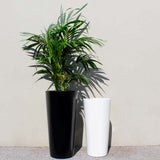 Root and Stock Sonoma Tall Round Cylinder White Planter Lifestyle