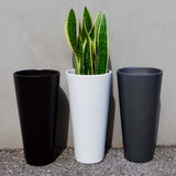 Root and Stock Sonoma Tall Round Cylinder Planter Lifestyle